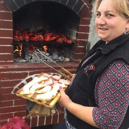 Pensiunea Pe Vale La Moco Runcu Salvei