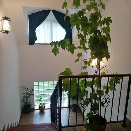 Pensiunea Pe Vale La Moco * Runcu Salvei