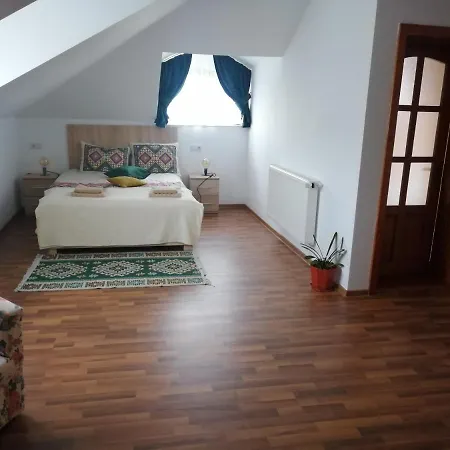 Holiday home Pensiunea Pe Vale La Moco *