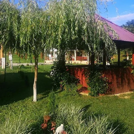 Holiday home Pensiunea Pe Vale La Moco Runcu Salvei