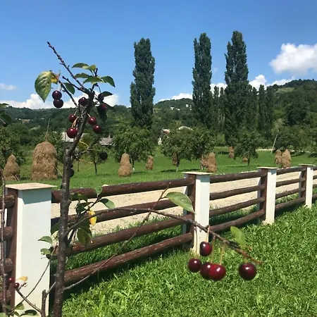 Pensiunea Pe Vale La Moco