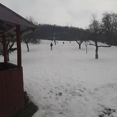 Pensiunea Pe Vale La Moco Holiday home